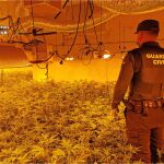 La Guardia Civil interviene 1.000 plantas de marihuana en un chalé de Calpe