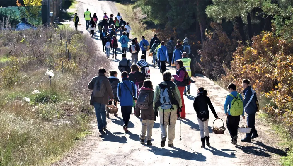 Acción divulgativa micológica de la Diputación de Palencia