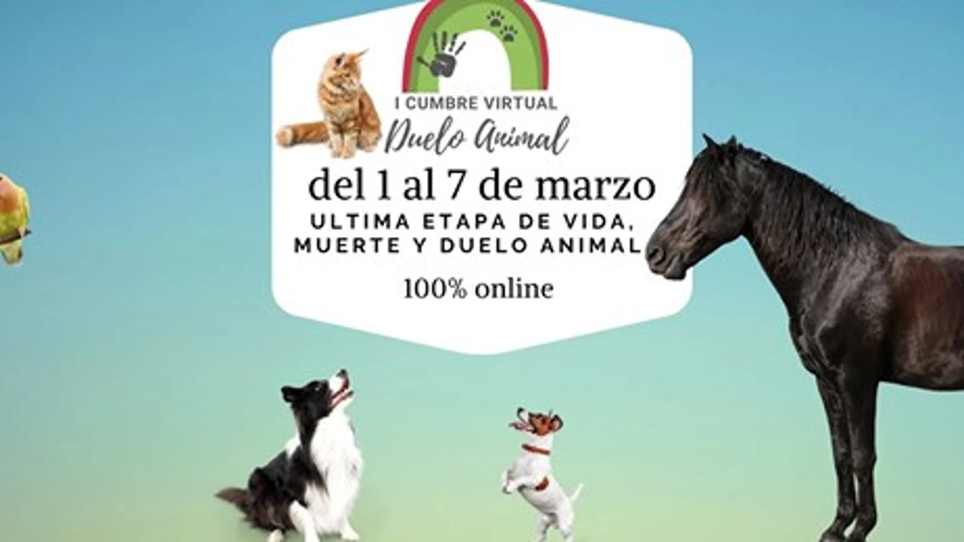 La I Cumbre Virtual del Duelo Animal se celebra del 1 al 7 de marzo