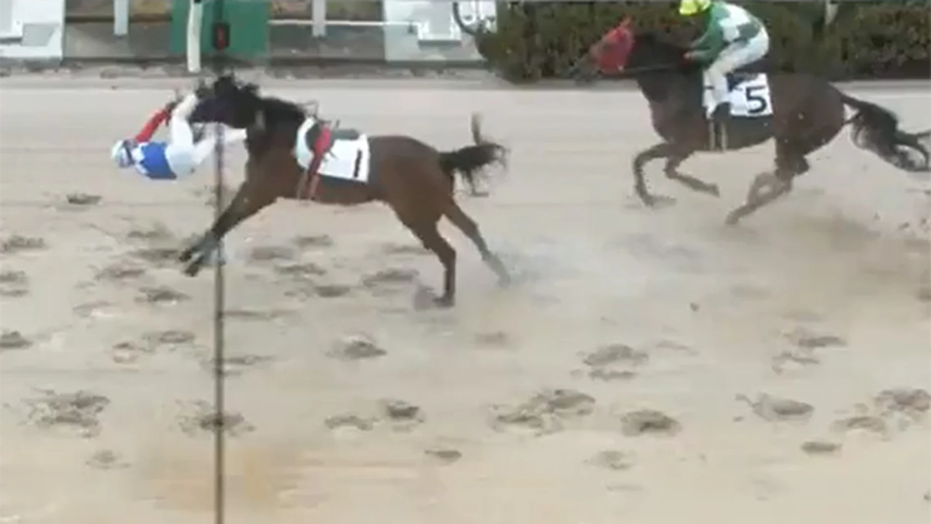 Shoichi Kawahara sale despedido de su caballo.