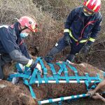 Rescate de la burra Olivia en El Boalo