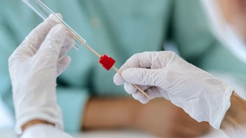 El SARS-CoV-2 sigue un patrón de diseminación diurno, que alcanza su pico máximo a las 14 horas, según una investigación.