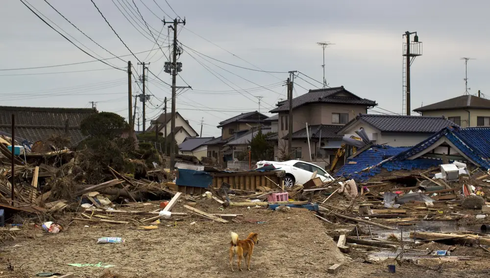 Imagen del 8 de abril de 2011 en la que se aprecian los daños provocados por el tsumani en Fukushima