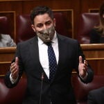 El líder de Vox, Santiago AbascAL