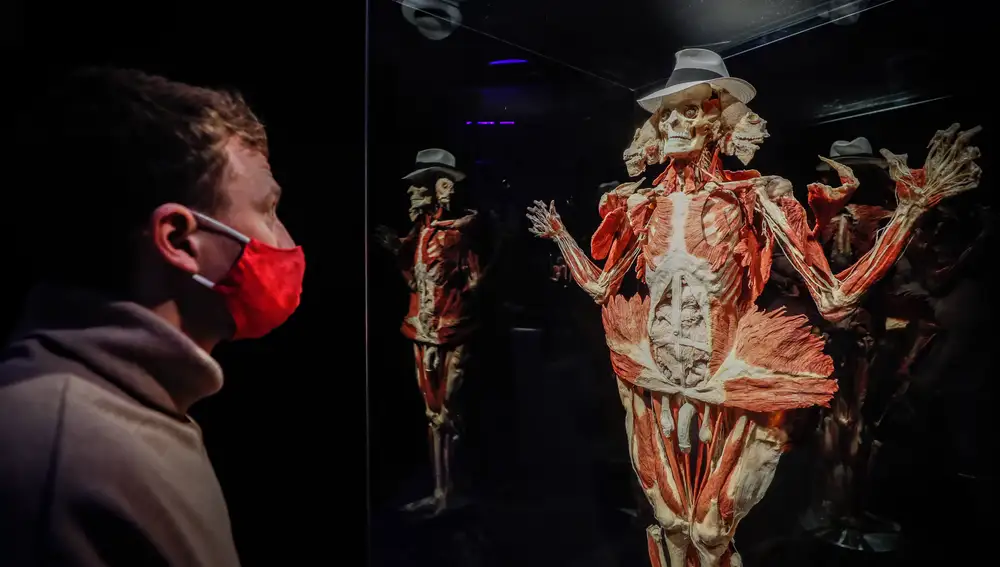 The exhibition Body Worlds in Moscow