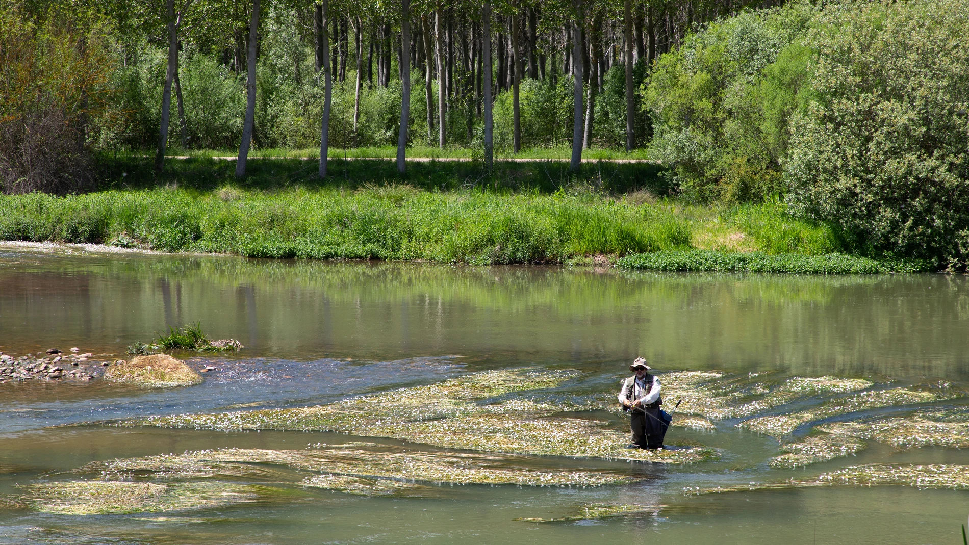 Un hombre pesca en el cañón de la Horadada en el río Pisuerga en Villaescusa de la Torres (Palencia)