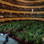 En junio de 2020, el Liceo barcelonés ofreció un concierto para las plantas