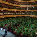 En junio de 2020, el Liceo barcelonés ofreció un concierto para las plantas