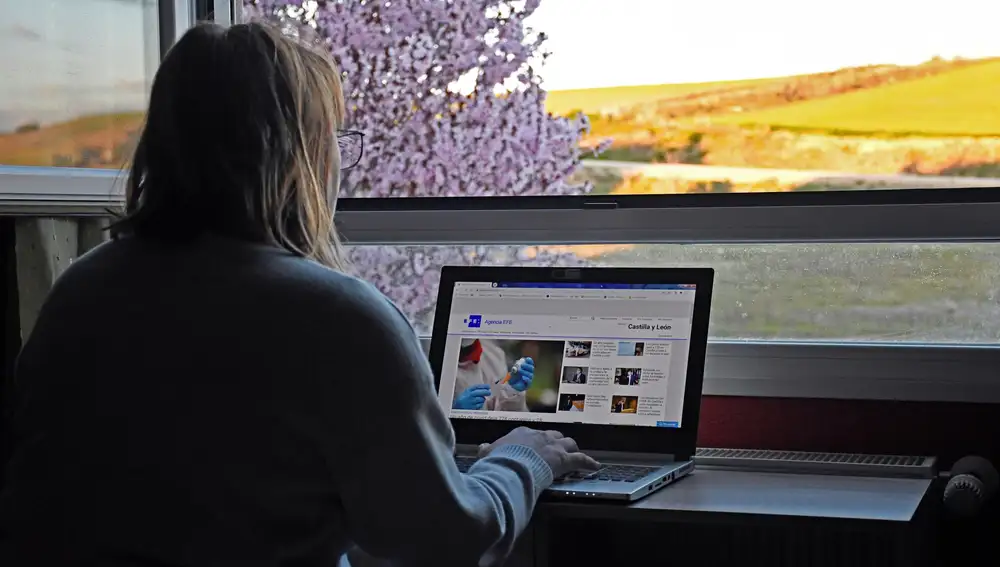 Una mujer consulta una web durante su jornada de teletrabajo en Segovia