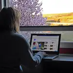 Una mujer consulta una web durante su jornada de teletrabajo en Segovia