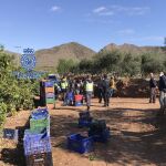 Operación contra la explotación laboral en el campo murciano