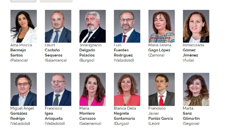 Procuradores de Ciudadanos en Castilla y León