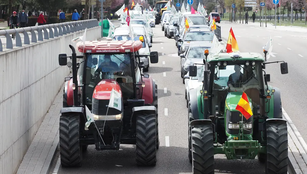 Una caravana de coches encabezada por dos tractores, en defensa de la ganadería en el territorio y contra la "sobreprotección" del lobo, en Valladolid