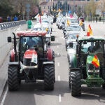 Una caravana de coches encabezada por dos tractores, en defensa de la ganadería en el territorio y contra la "sobreprotección" del lobo, en Valladolid