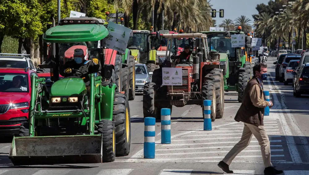 La tractorada en Jerez