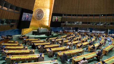 Asamblea General de la ONU