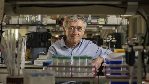 Elías Campo (director de IDIBAPS y de la Fundación Clínic per a la Recerca Biomèdia (FCRB), Barcelona)