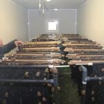 El gerente de Palentina de Caracoles (Palencol), Rafael Díaz, muestra el criadero de caracoles en interior