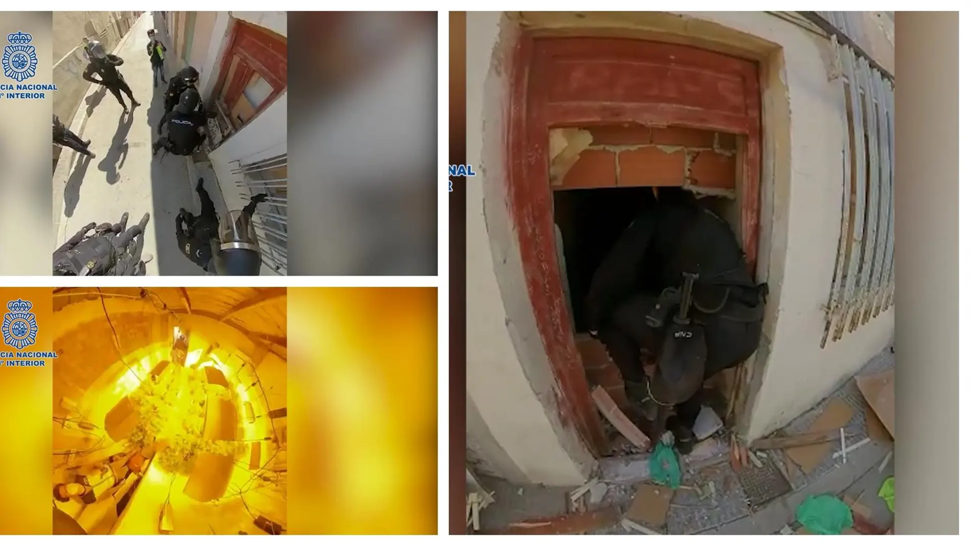 Desmantelan una plantación de marihuana 'indoor' escondida tras una puerta blindada en La Raya