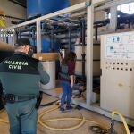 Los agentes de la Guardia Civil, en una de las plantas intervenidas