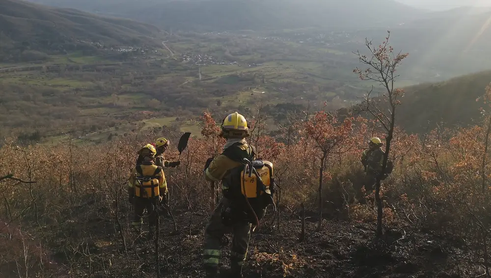 Incendio en en Valdepiélago (León).@ATBRIF24/03/2021