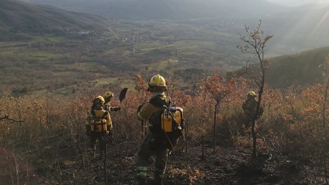 Incendio en en Valdepiélago (León).@ATBRIF24/03/2021