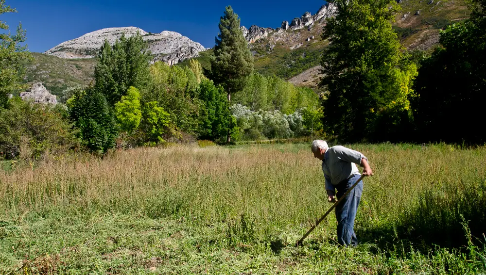 Un vecino segando un prado en la Reserva de la Biosfera de Omaña y Luna