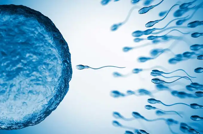 Cada vez tenemos menos espermatozoides… pero no tiene por qué ser algo malo