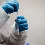 Un trabajadora sanitaria sostiene un test de antígenos