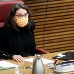 La vicepresidenta del Consell y consellera de Igualdad y Políticas Inclusivas, Mónica Oltra, comparece en Les Corts en una imagen de archivo.