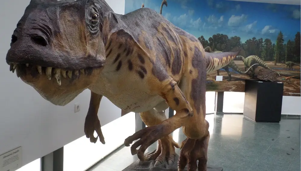 Ejemplar de dinosaurio en el Museo ubicado en Salas de los Infantes