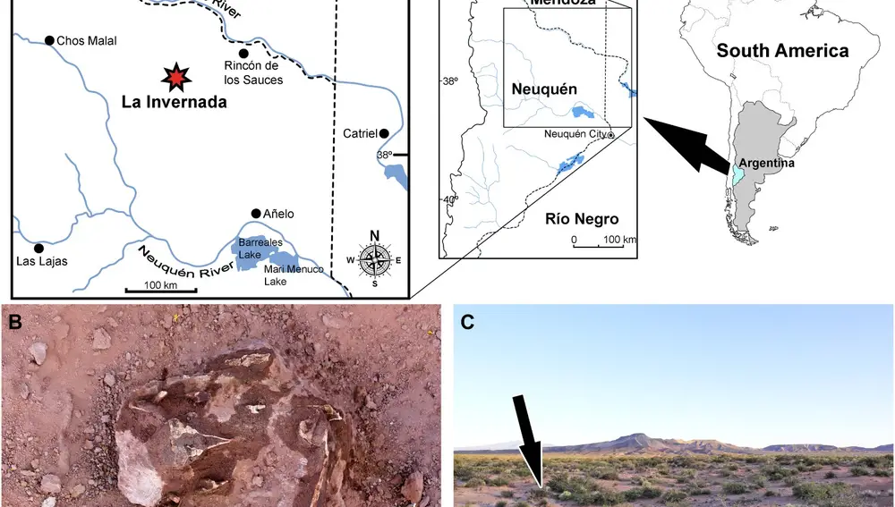 A) Localización geográfica de la InvernadaB) Restos fósiles de /Llukalkan aliocranianus/C) Ubicación del yacimiento