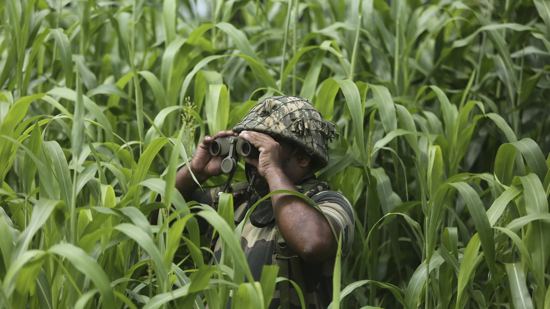 Soldado indio vigilando la frontera entre India y Pakistán.