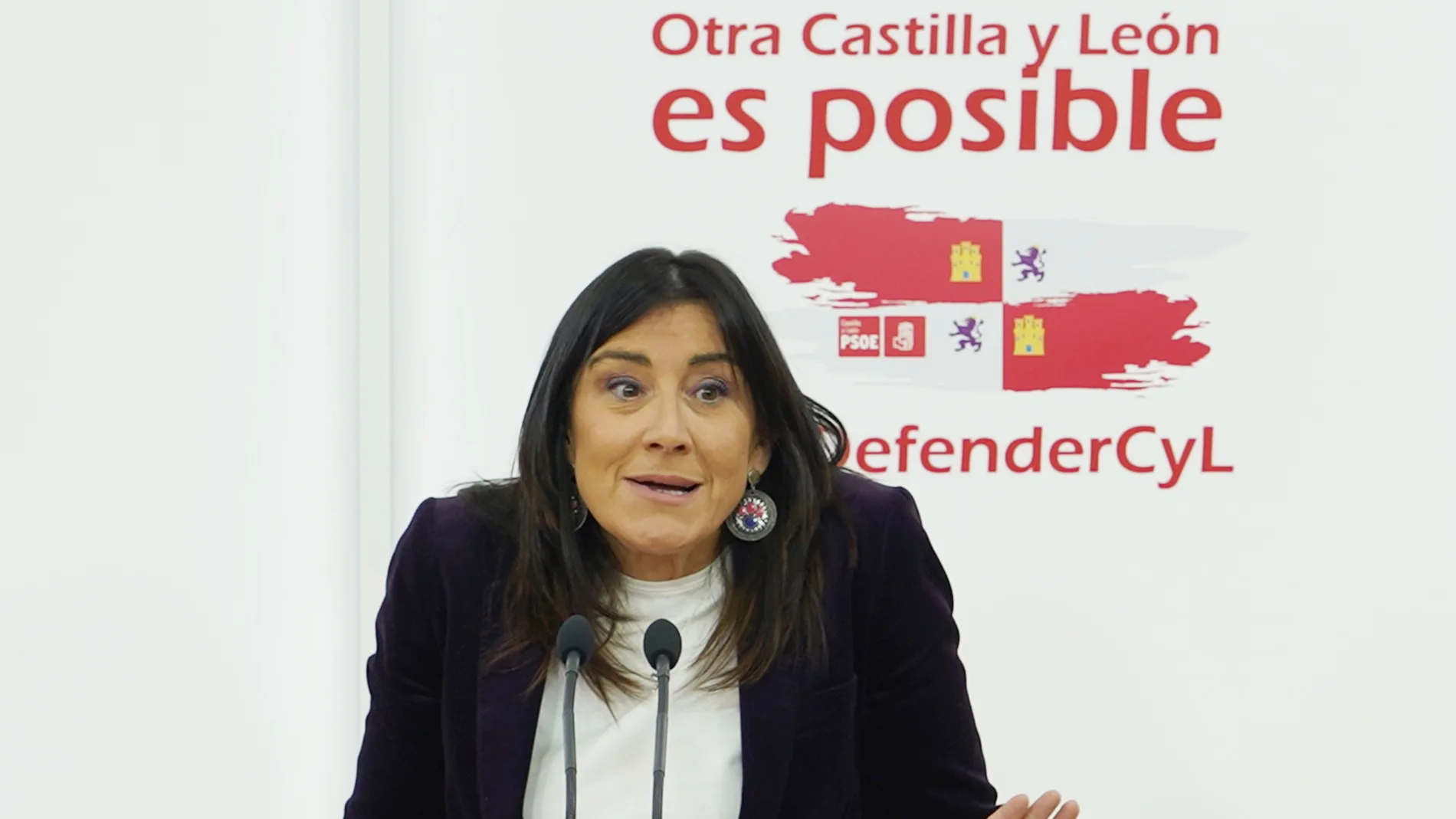 Ana Sánchez, secretaria de Organización del PSOE de Castilla y León