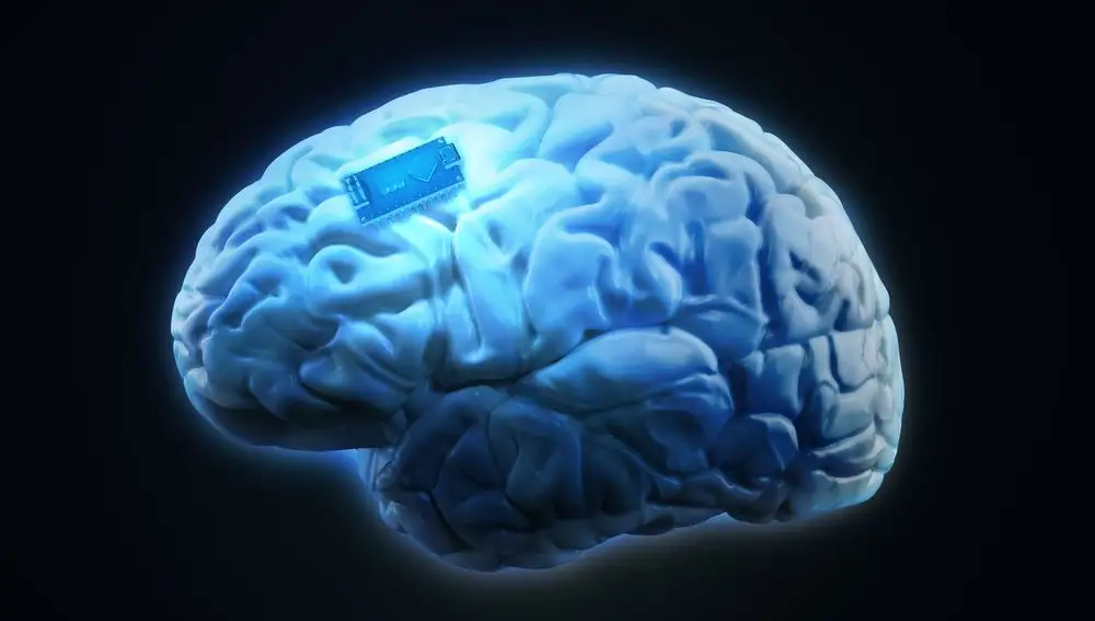 Un invernadero de cerebros creado por el MIT