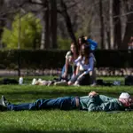 Madrid impulsa otra manera de estudiar los niveles de polen
