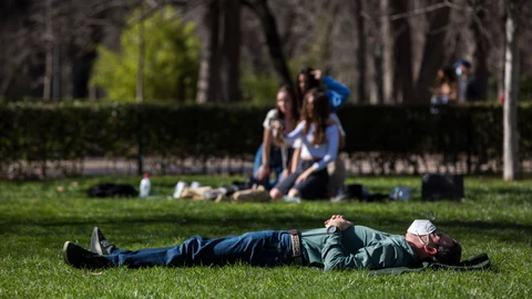 Madrid impulsa otra manera de estudiar los niveles de polen