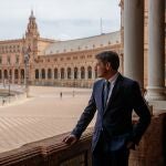 El delegado del Gobierno en Andalucía, Pedro Fernández. EFE\Julio Muñoz .