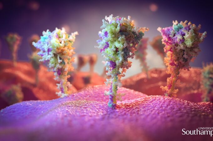 Imágenes del pico de proteína en la superficie de las células expuestas a la vacuna Oxford-AstraZeneca