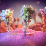 Imágenes del pico de proteína en la superficie de las células expuestas a la vacuna Oxford-AstraZeneca