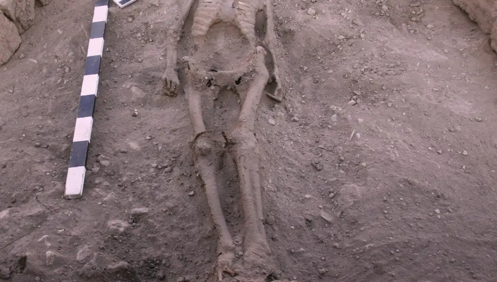 A skeletal human remain is seen in Luxor