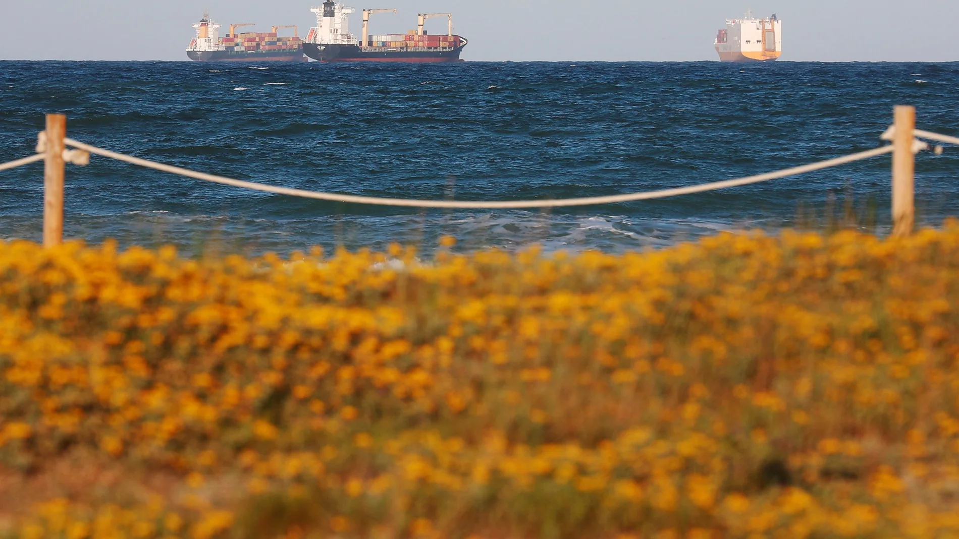 Tres buques portacontenedores fondean ante la playa de El Saler, al sur del Puerto de Valencia