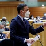 El presidente del Gobierno, Pedro Sánchez, durante la sesión de control al Gobierno en el pleno del Senado.