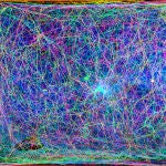 Imágenes de corte transversal de una tela de araña las cuales pueden ser combinadas en una imagen tridimensional y posteriormente convertidas en música.