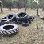 Ruedas de tractor encontradas en el pinar de San Pablo de la localidad vallisoletana de Peñafiel