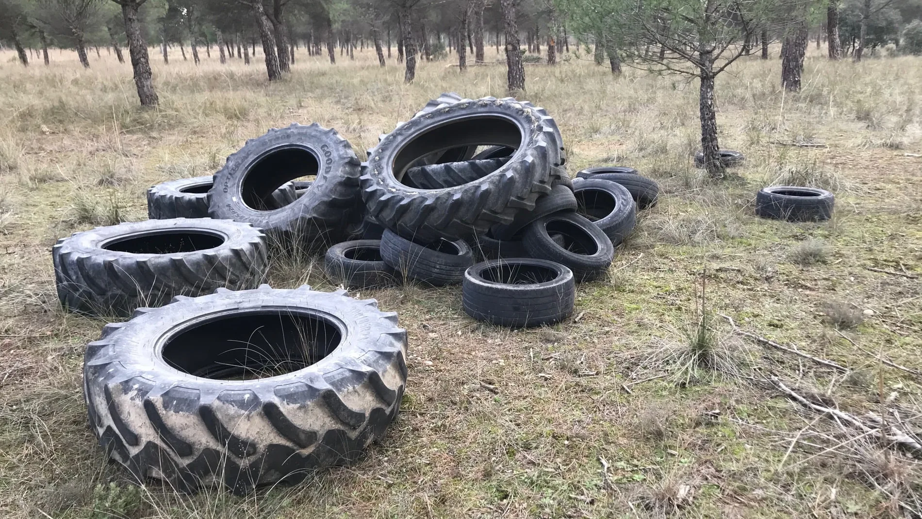 Ruedas de tractor encontradas en el pinar de San Pablo de la localidad vallisoletana de Peñafiel