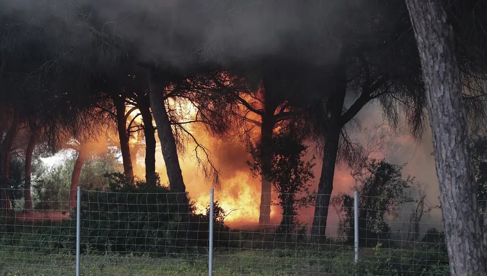 Un incendio en una zona de pinares ha llevado a disolver la manifestación que los trabajadores de Airbus en la bahía de Cádiz