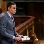 El presidente del Gobierno, Pedro Sánchez durante la sesión de este miércoles en el Congreso donde el Gobierno defenderá el Plan de Recuperación
