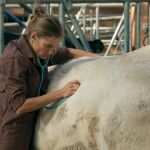 "Una veterinaria en la Borgoña", dirigida por la francesa Julie Manoukian, se estrena este viernes 16 de abril en salas