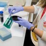 Una investigadora becada por la Fundación Cris contra el cáncer
